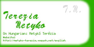terezia metyko business card